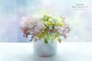 花影流光 花藝產品攝影的藝術與匠心